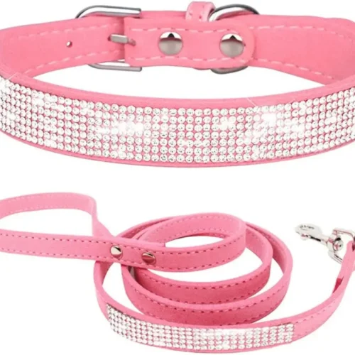 Rhinestone Dog Collar and Leash Set for Small Dogs