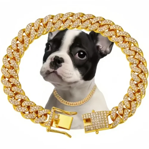 Gold Dog Chain Collar